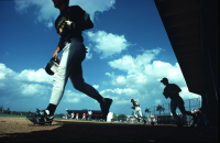 Sports