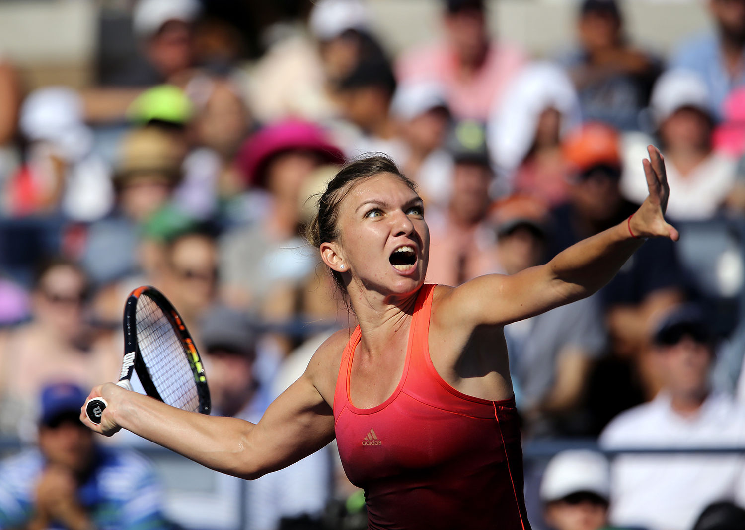 Simona Halep, 
2015 U.S. Open : Sports : Photography by Adam Stoltman: Sports Photography, The Arts, Portraiture, Travel, Photojournalism and Fine Art in New York