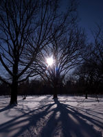Central Park, New York - © Adam Stoltman. All rights reserved.