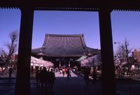 Asakusa Kanon Temple, Tokyo - © Adam Stoltman. All rights reserved.