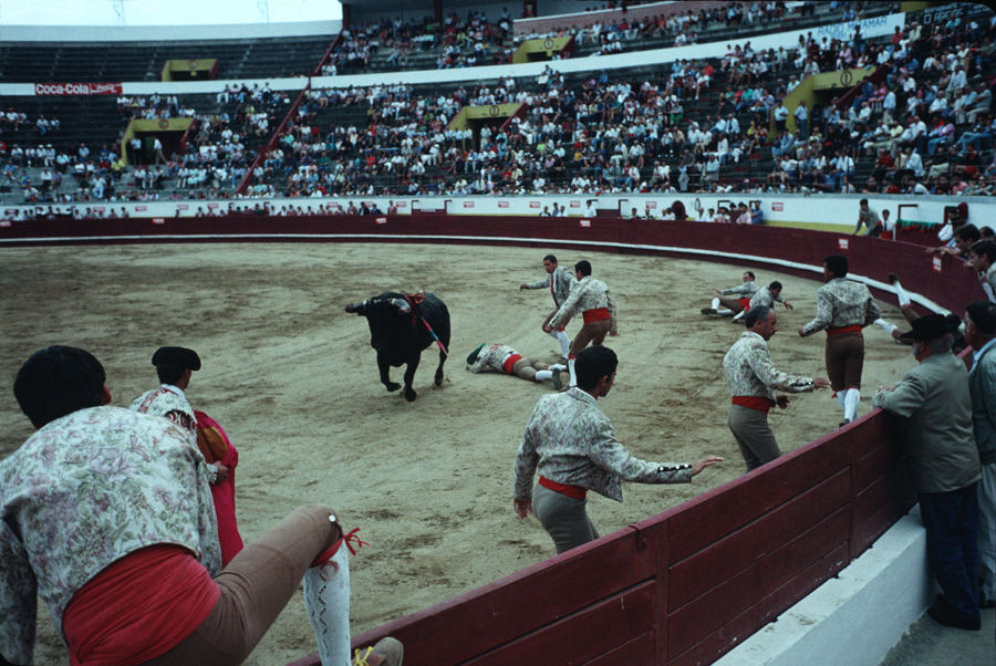Bullfight, Sintra, Portugal : Places : Photography by Adam Stoltman: Sports Photography, The Arts, Portraiture, Travel, Photojournalism and Fine Art in New York