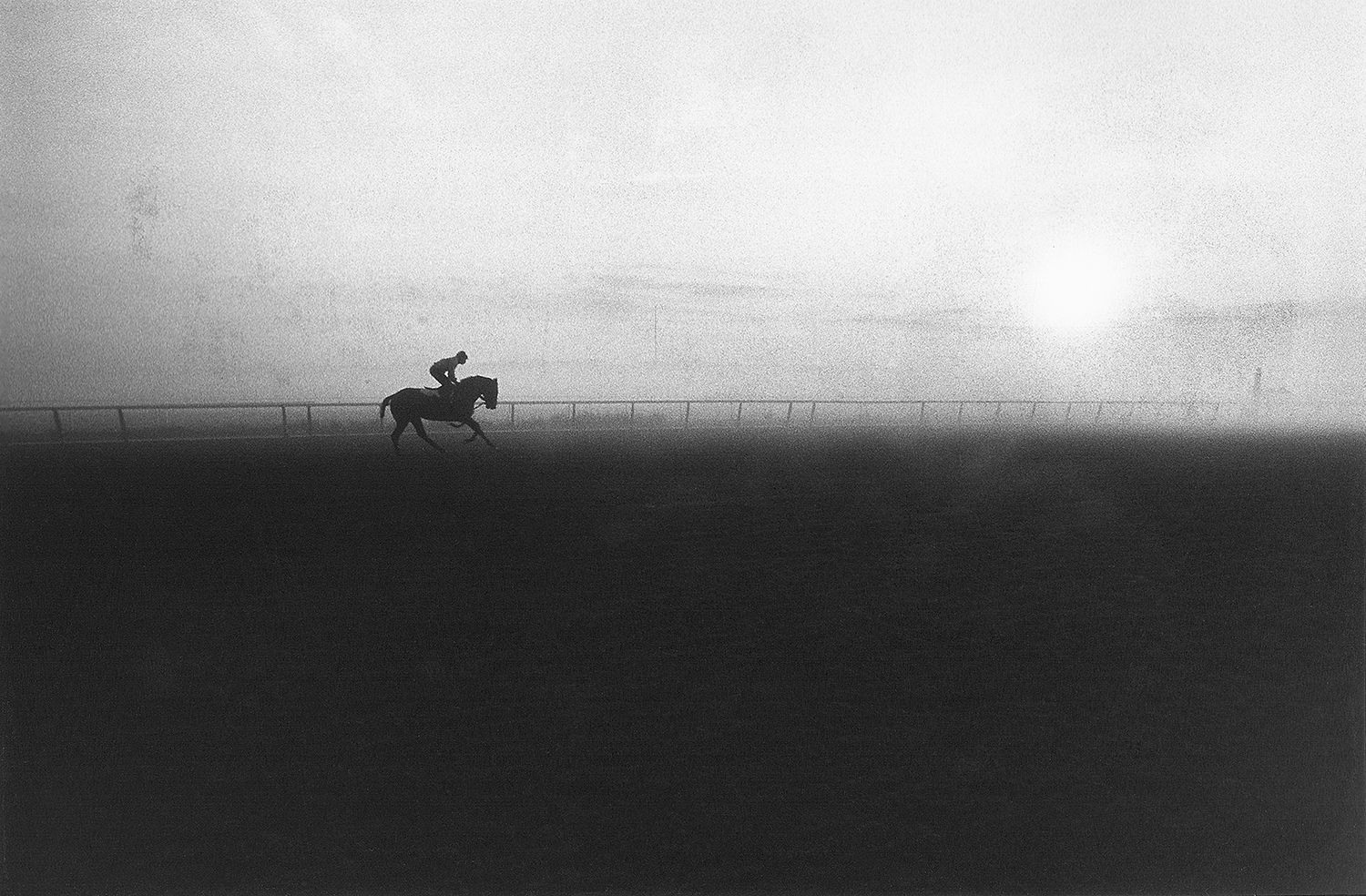 Morning workout, Belmont : Sports : Photography by Adam Stoltman: Sports Photography, The Arts, Portraiture, Travel, Photojournalism and Fine Art in New York