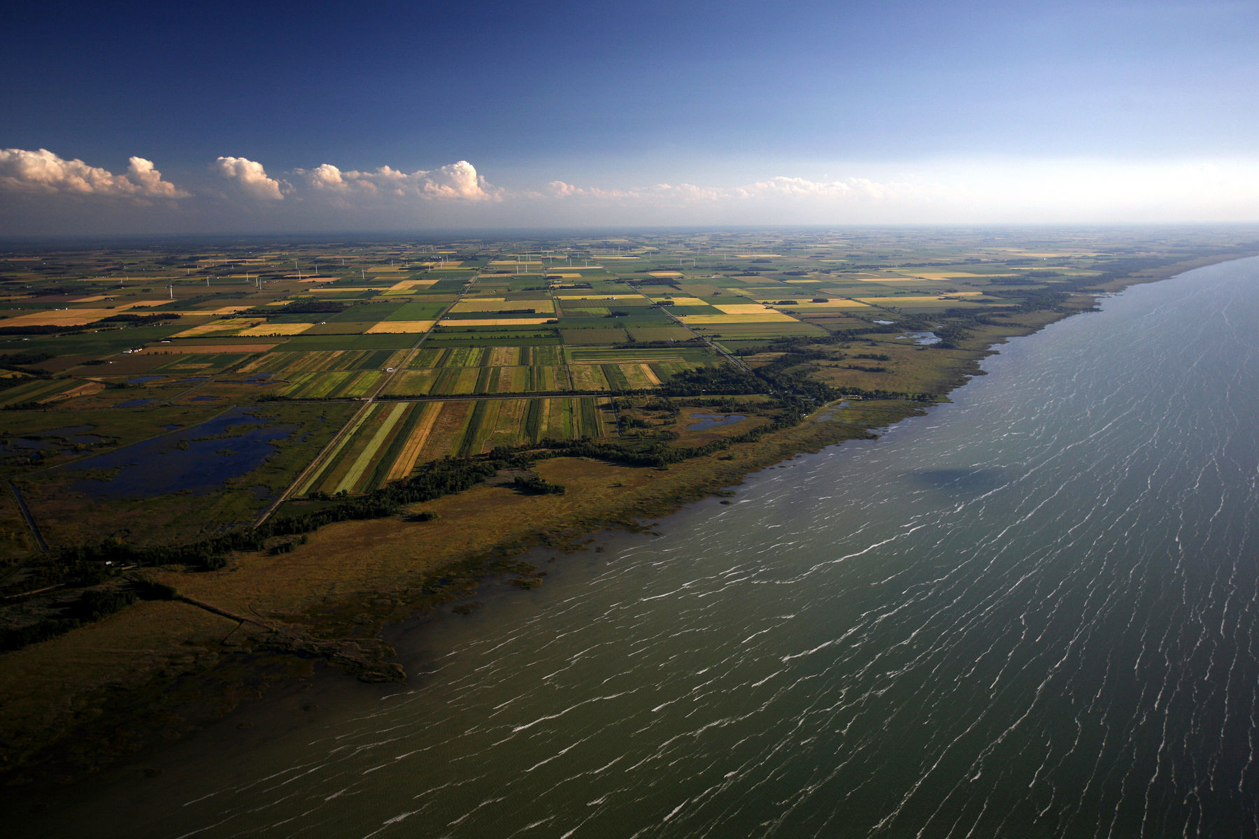 Farmland along Saginaw Bay, Michigan : Nature : Photography by Adam Stoltman: Sports Photography, The Arts, Portraiture, Travel, Photojournalism and Fine Art in New York