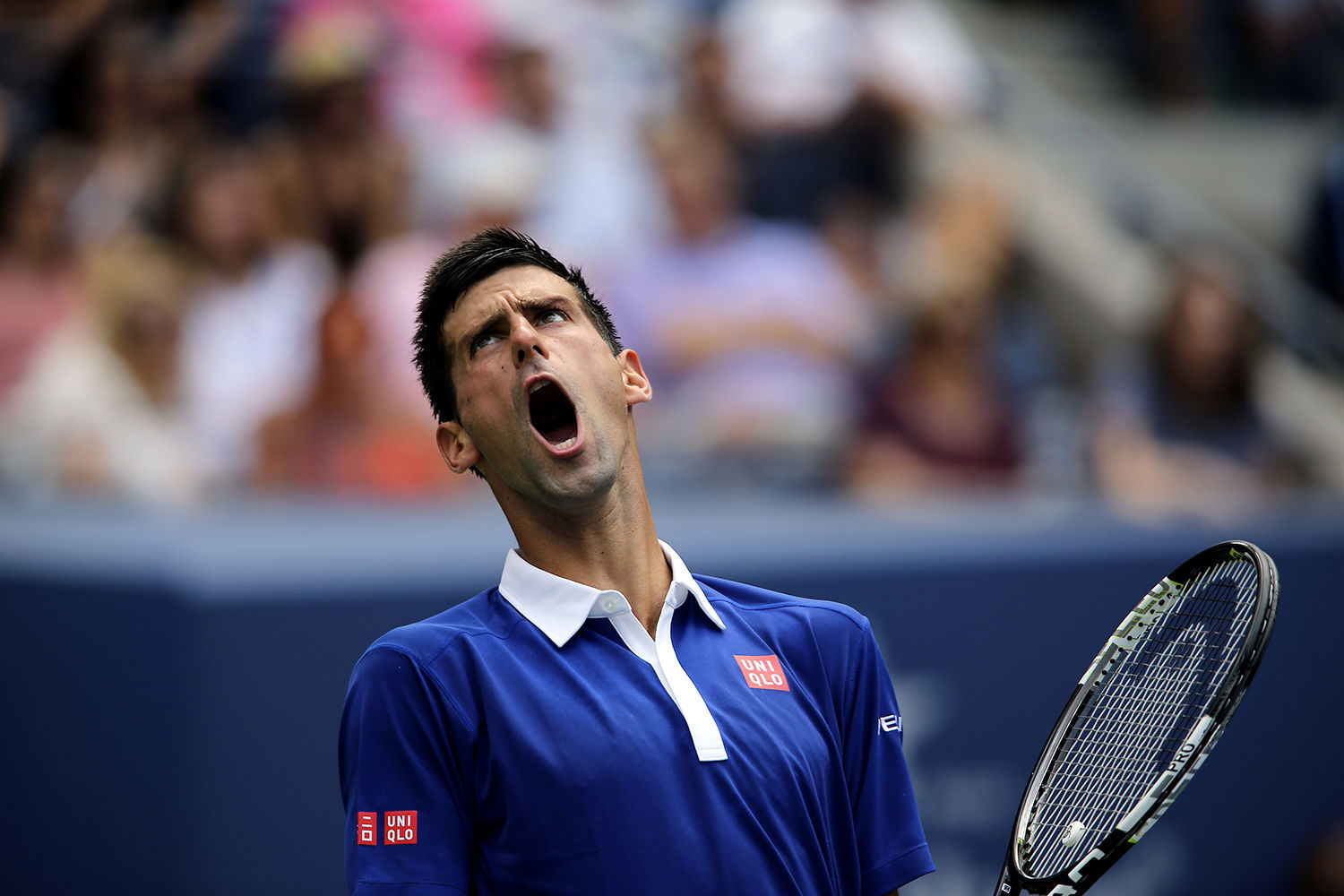 Novak Djokovic, 
2015 U.S. Open : Sports : Photography by Adam Stoltman: Sports Photography, The Arts, Portraiture, Travel, Photojournalism and Fine Art in New York