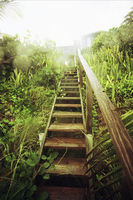 Hopetwon, Bahamas - © Adam Stoltman. All rights reserved.