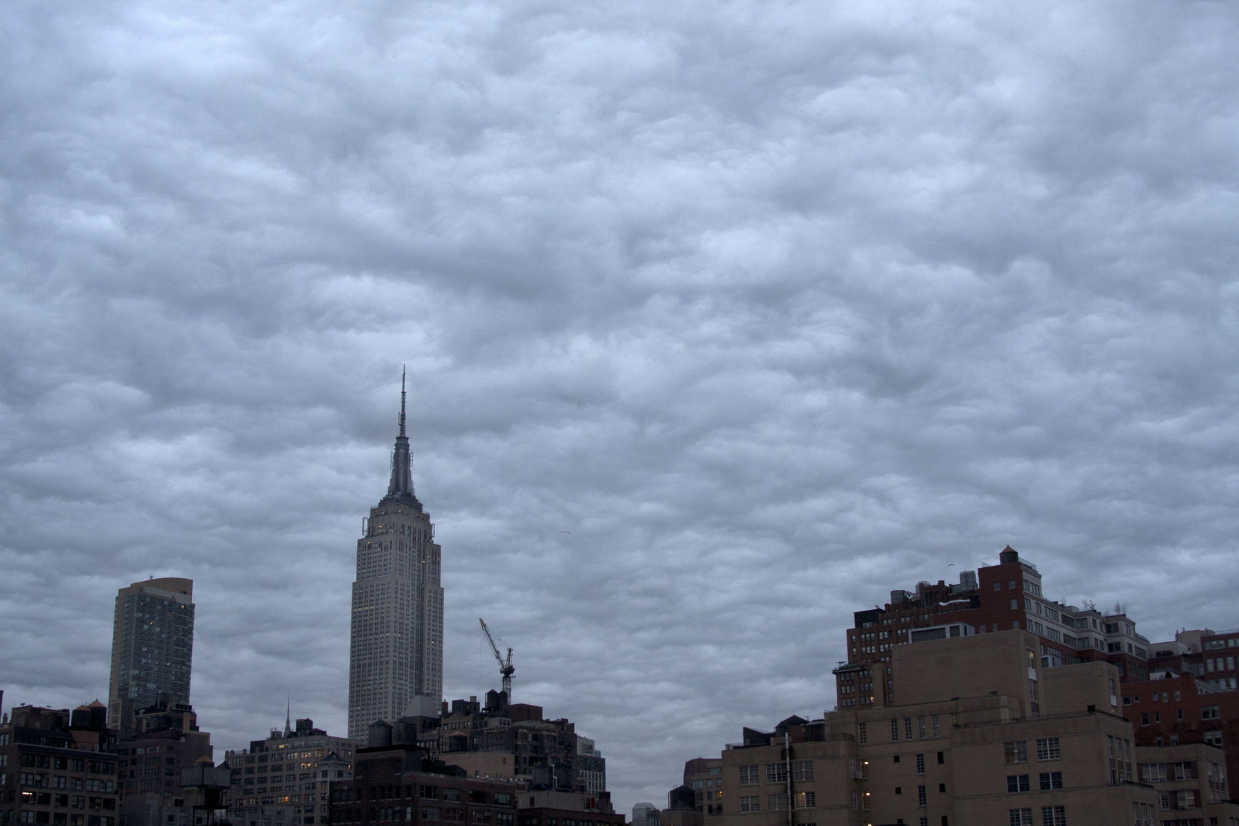  : From My North Window : Photography by Adam Stoltman: Sports Photography, The Arts, Portraiture, Travel, Photojournalism and Fine Art in New York