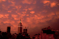  - © Adam Stoltman. All rights reserved.