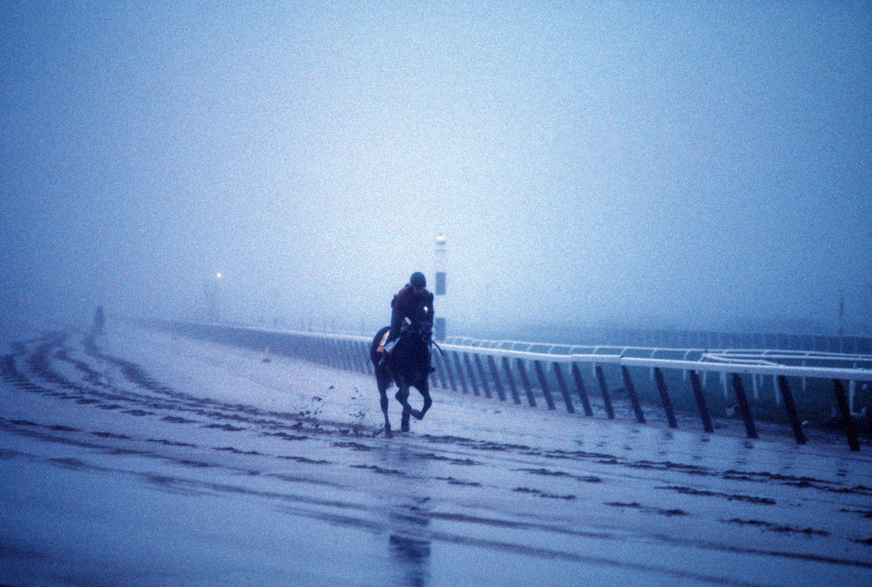 Training, Belmont Park : Sports : Photography by Adam Stoltman: Sports Photography, The Arts, Portraiture, Travel, Photojournalism and Fine Art in New York