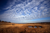 Alley Pond Park, New York City - © Adam Stoltman. All rights reserved.