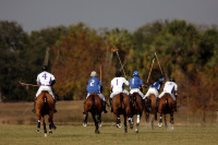 Polo, Wellington, Florida - © Adam Stoltman. All rights reserved.