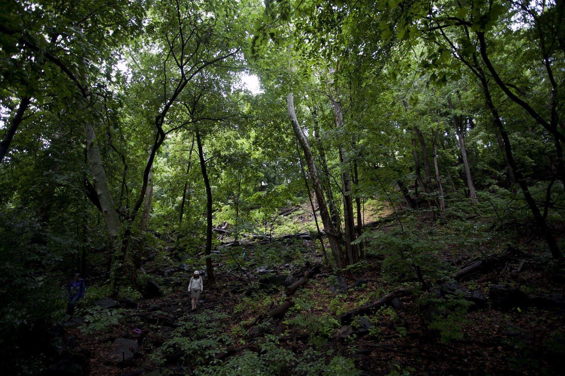 Highbride Park, Manhattan : Parks and People : Photography by Adam Stoltman: Sports Photography, The Arts, Portraiture, Travel, Photojournalism and Fine Art in New York