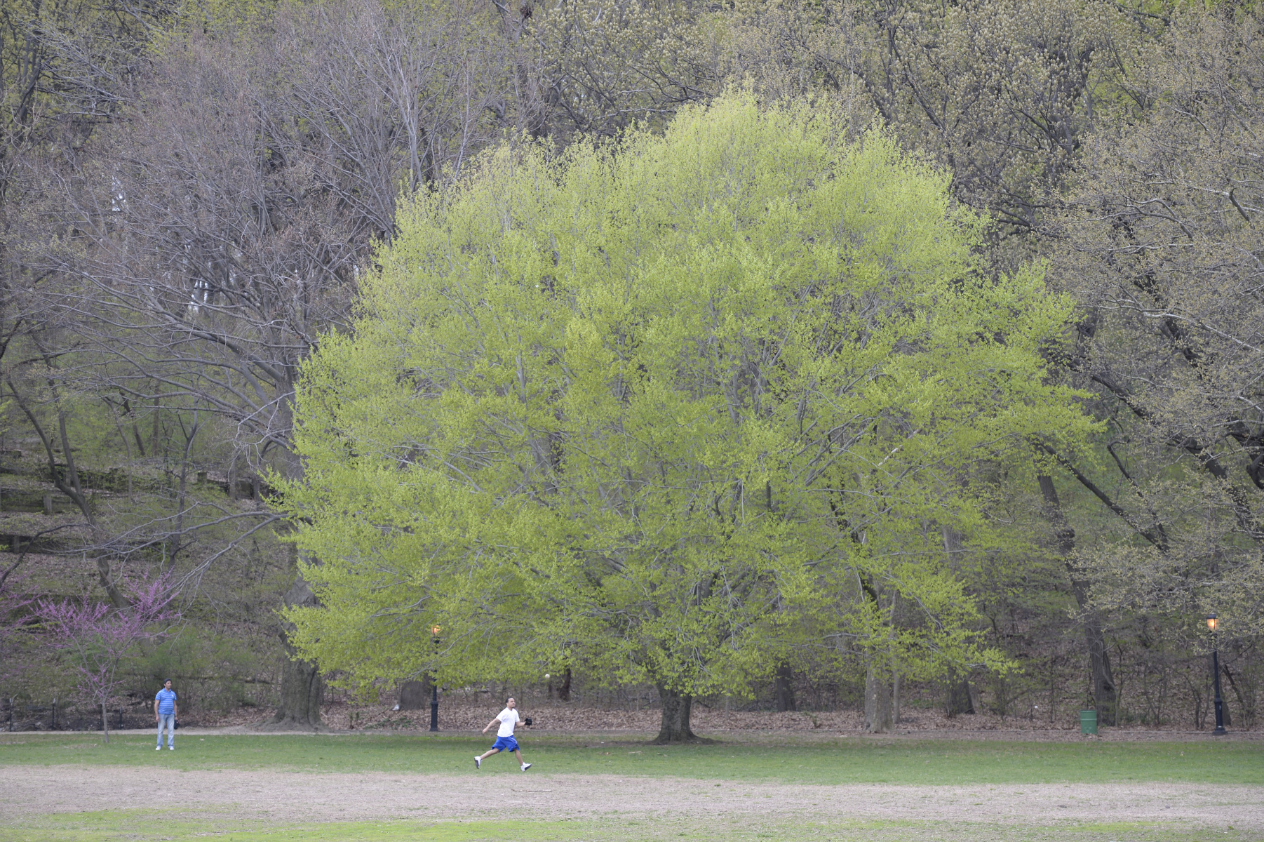 Inwood Hill Park, Manhattan : Parks and People : Photography by Adam Stoltman: Sports Photography, The Arts, Portraiture, Travel, Photojournalism and Fine Art in New York