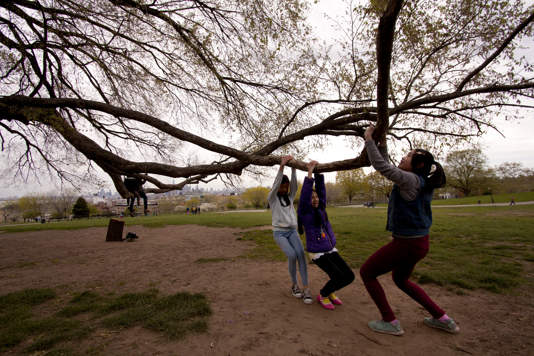 Sunset Park, Brooklyn : Parks and People : Photography by Adam Stoltman: Sports Photography, The Arts, Portraiture, Travel, Photojournalism and Fine Art in New York