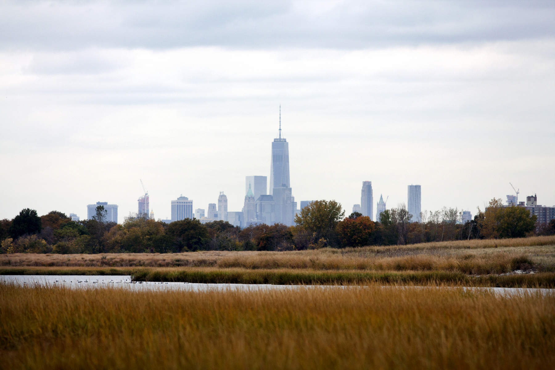 Marine Park, Brooklyn : Parks and People : Photography by Adam Stoltman: Sports Photography, The Arts, Portraiture, Travel, Photojournalism and Fine Art in New York