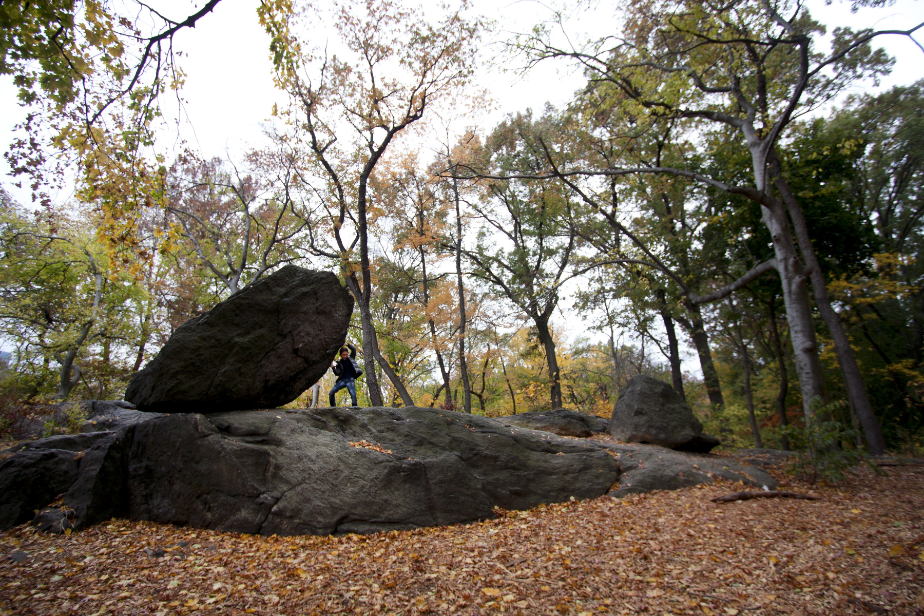 Central Park, Manhattan : Parks and People : Photography by Adam Stoltman: Sports Photography, The Arts, Portraiture, Travel, Photojournalism and Fine Art in New York