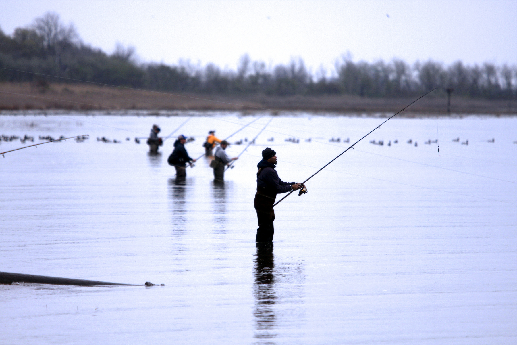 Fishermen, Jamaica Bay, Queen : Parks and People : Photography by Adam Stoltman: Sports Photography, The Arts, Portraiture, Travel, Photojournalism and Fine Art in New York