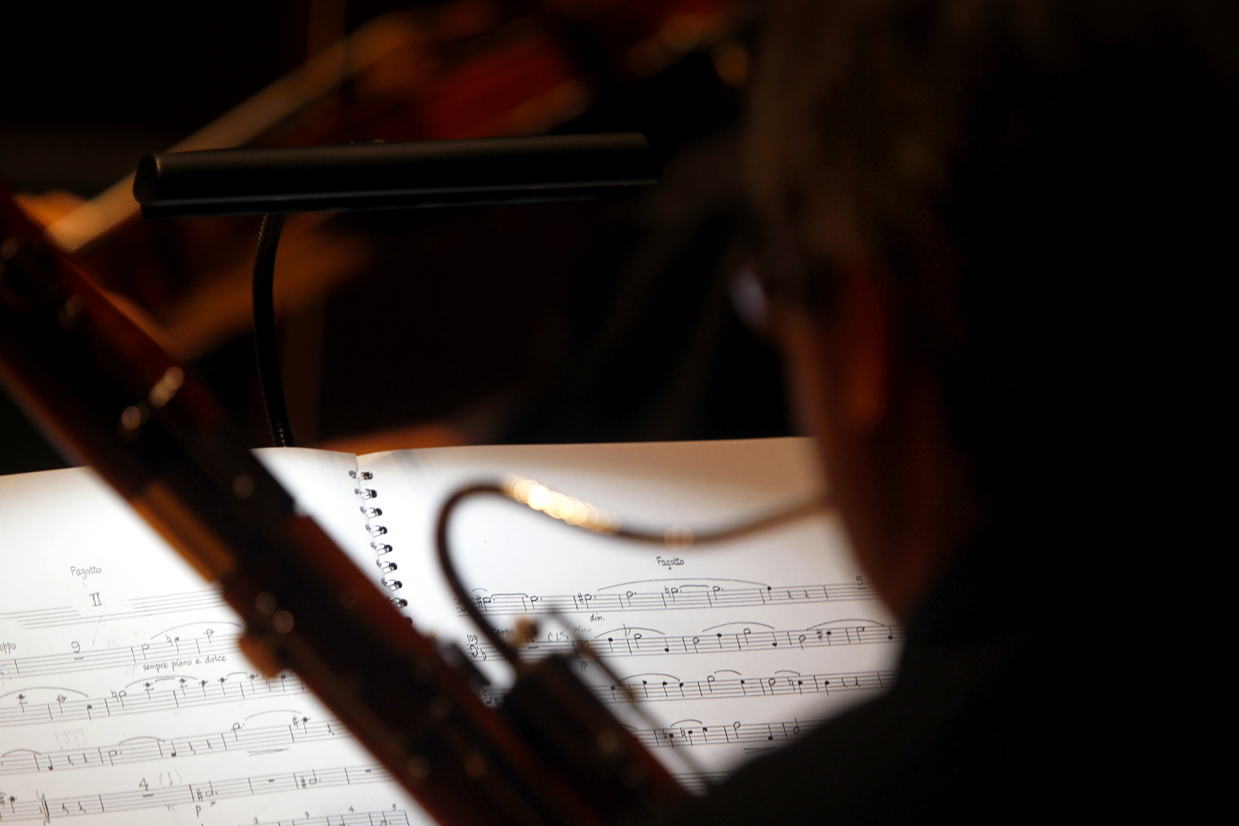 Orchestra of St.Lukes Chamber Ensemble : The Arts : Photography by Adam Stoltman: Sports Photography, The Arts, Portraiture, Travel, Photojournalism and Fine Art in New York