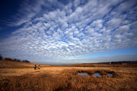 Alley Pond Park, New York City