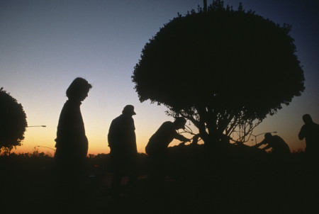Maya Lin overseeing topiary installation, Charlotte, North Carolina