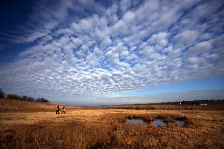 Alley Pond Park, Queens