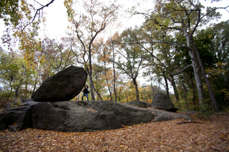 Central Park, Manhattan